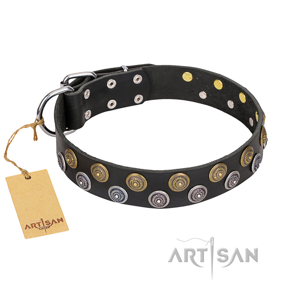 Comfy wearing dog collar of strong genuine leather with embellishments