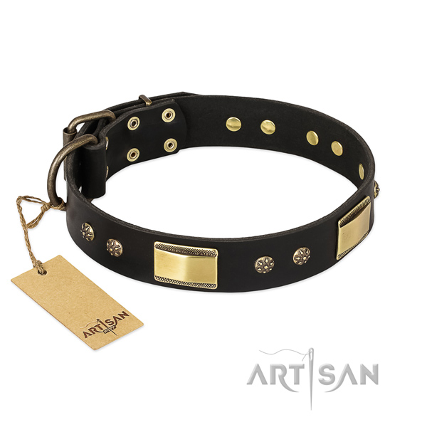 Stunning full grain genuine leather dog collar for easy wearing