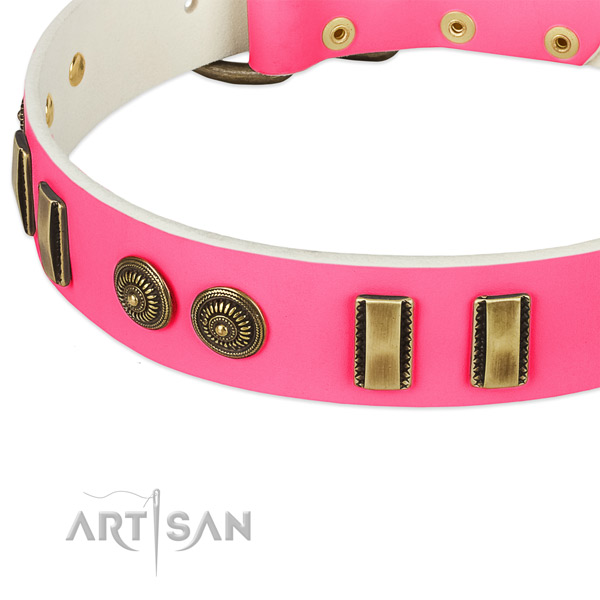 Reliable embellishments on natural leather dog collar for your four-legged friend