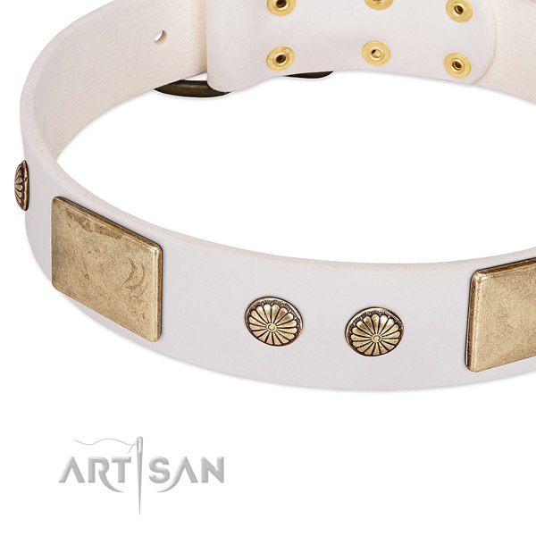 Corrosion proof embellishments on full grain leather dog collar for your dog