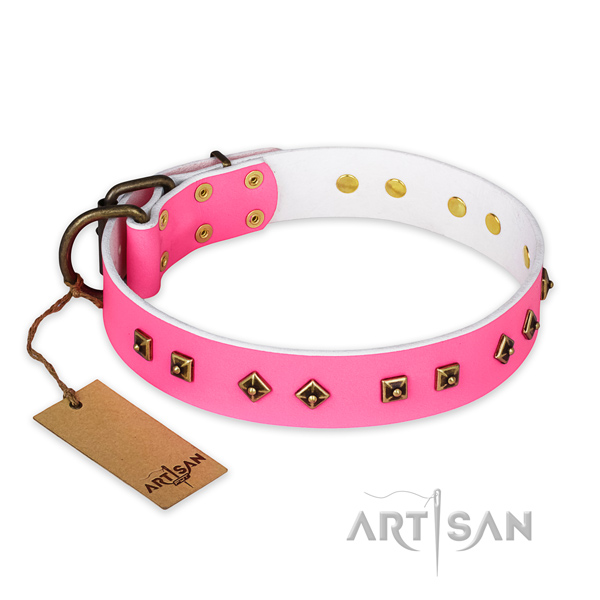 Extraordinary natural leather dog collar with durable buckle