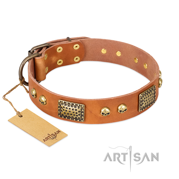 Easy adjustable full grain genuine leather dog collar for everyday walking your canine