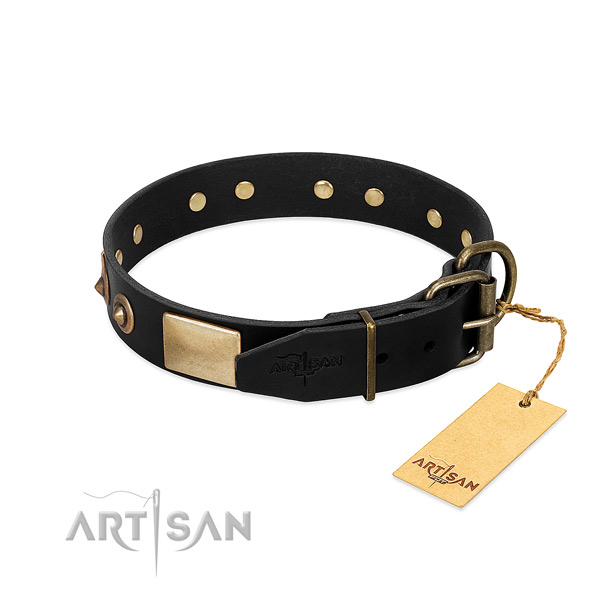 Corrosion resistant hardware on everyday use dog collar
