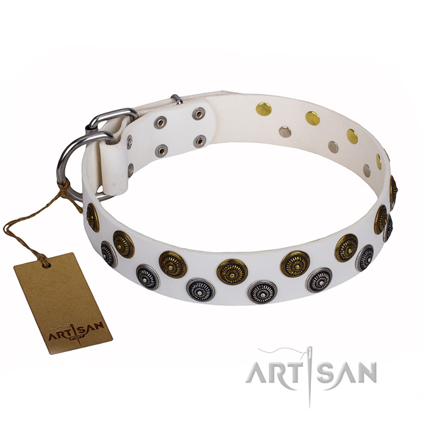 Fancy walking dog collar of reliable leather with studs