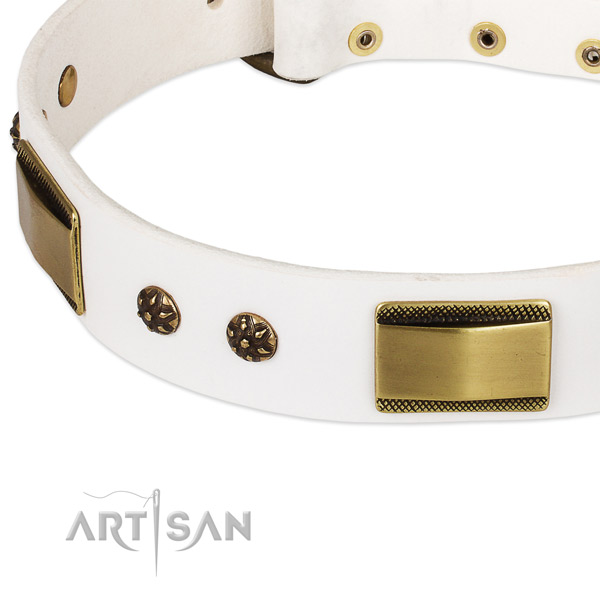 Corrosion resistant adornments on full grain genuine leather dog collar for your canine