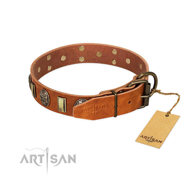 Corrosion proof fittings on leather collar for fancy walking your four-legged friend