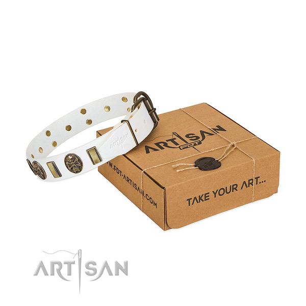 Corrosion proof hardware on full grain leather dog collar for comfy wearing