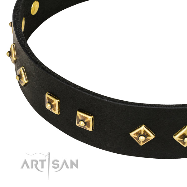 Convenient leather collar for your stylish canine
