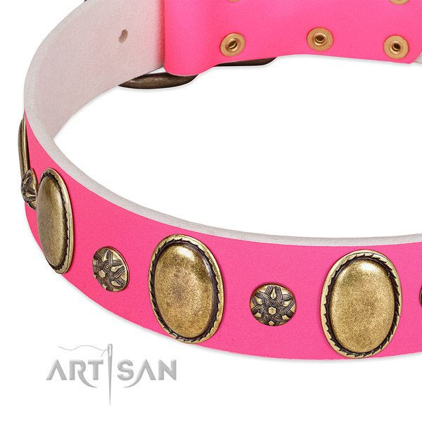 Top rate genuine leather dog collar with corrosion proof D-ring