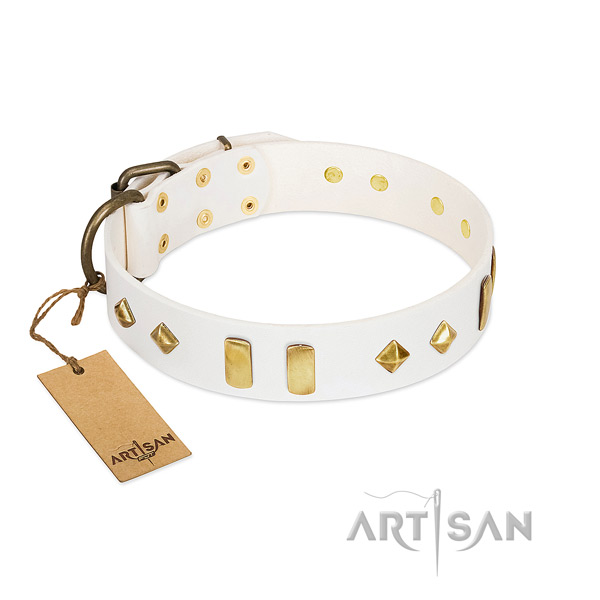 Easy wearing top notch leather dog collar with studs