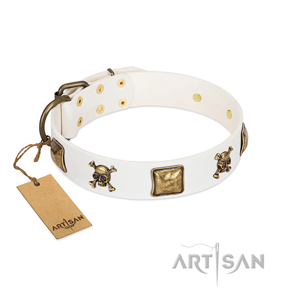 Daily use flexible full grain leather dog collar with studs