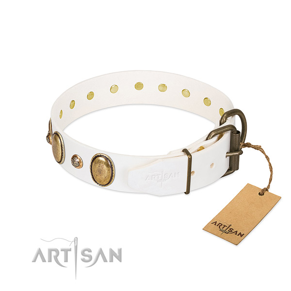 Daily walking full grain leather dog collar