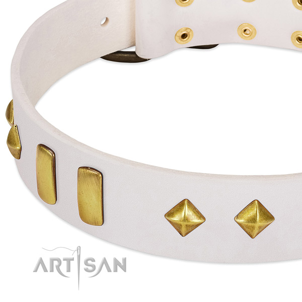 Gentle to touch full grain natural leather dog collar with durable fittings