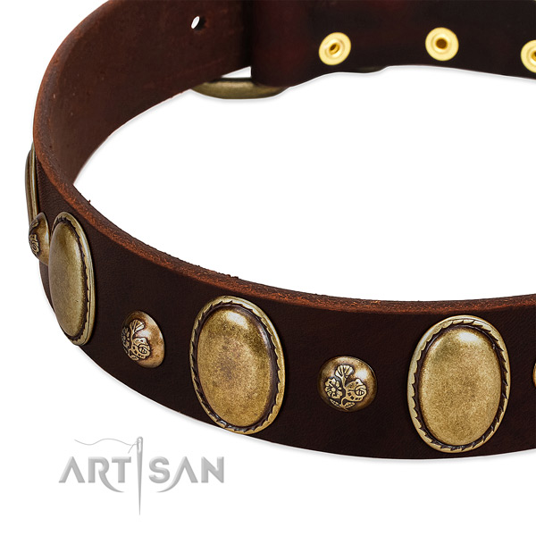 Genuine leather dog collar with unique embellishments