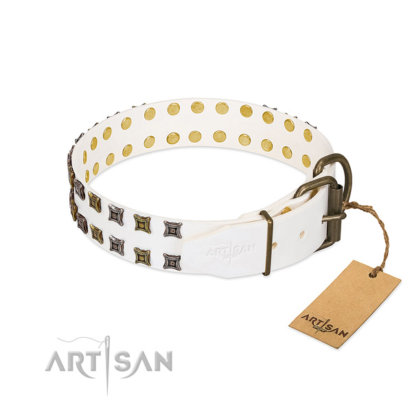 Full grain leather collar with remarkable adornments for your canine
