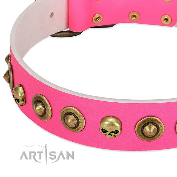 Top notch embellishments on natural leather collar for your dog