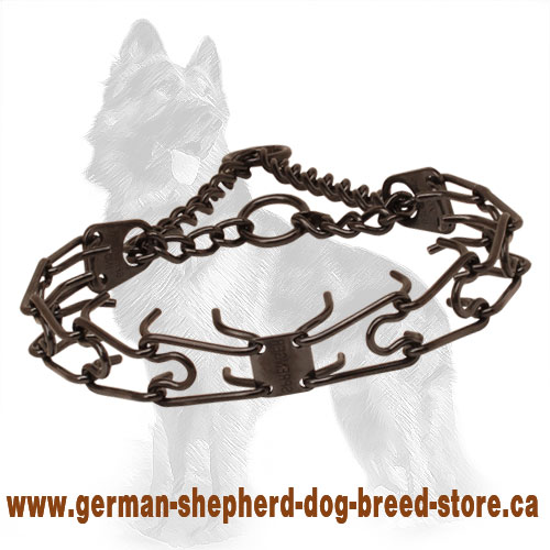 Prong collar of corrosion resistant black stainless steel for ill behaved canines