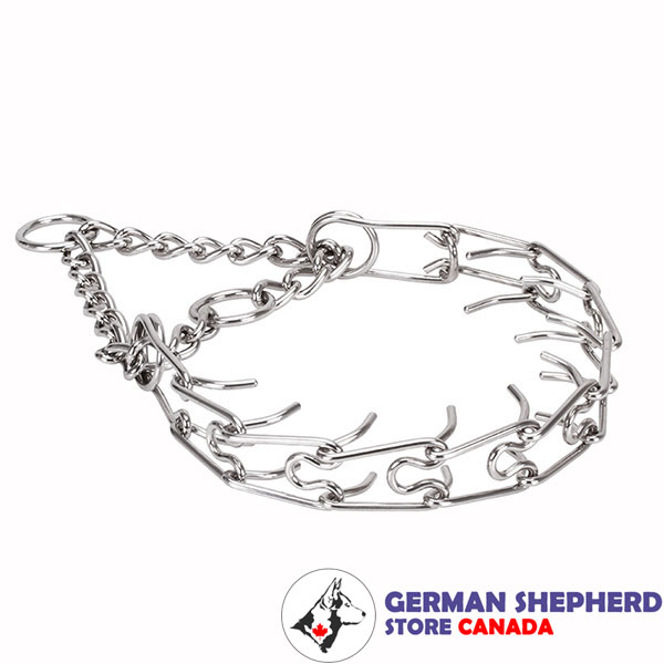Pinch collar of strong stainless steel for ill behaved dogs