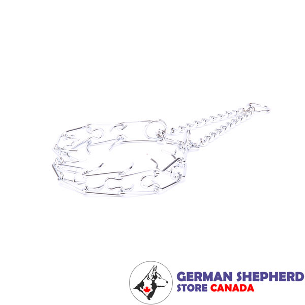 Top-rate chrome plated pinch collar for training