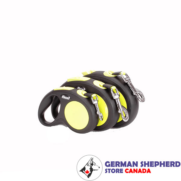 Exclusively Crafted Flexi Dog Lead for Everyday walking
