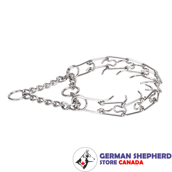 Rust resistant stainless steel pinch collar for badly behaved dogs