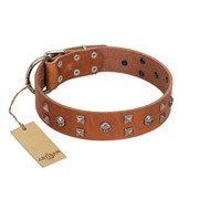 "Enchanted Skulls" FDT Artisan Tan Leather German Shepherd Collar with Chrome Plated Skulls