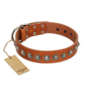 "Silver Spike" Handmade FDT Artisan Tan Leather German Shepherd Collar with Old Silver-Like Spikes