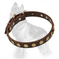 Special Leather German Shepherd Collar With Brass Circles