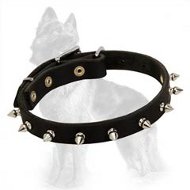 German Shepherd Leather Collar with Nickel Plated Spikes