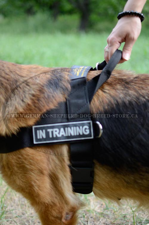 Nylon German-Shepherd Harness with Handle on the Back