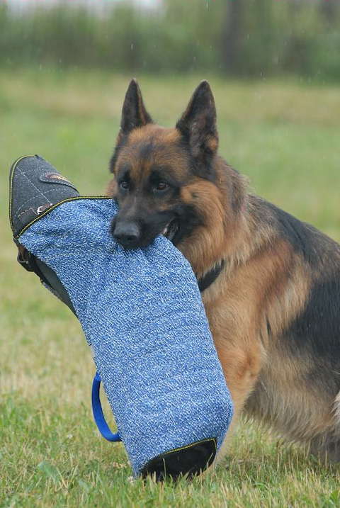 Dog bite shop protection sleeve