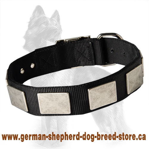 German Shepherd Nylon Dog Collar with Silver Plates