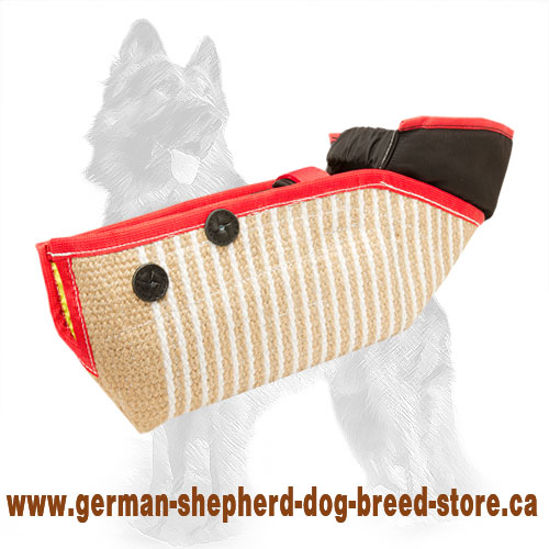 German shepherd bite best sale sleeve