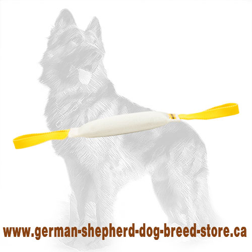 Fire Hose German Shepherd Puppy Bite Tug with Two Handles