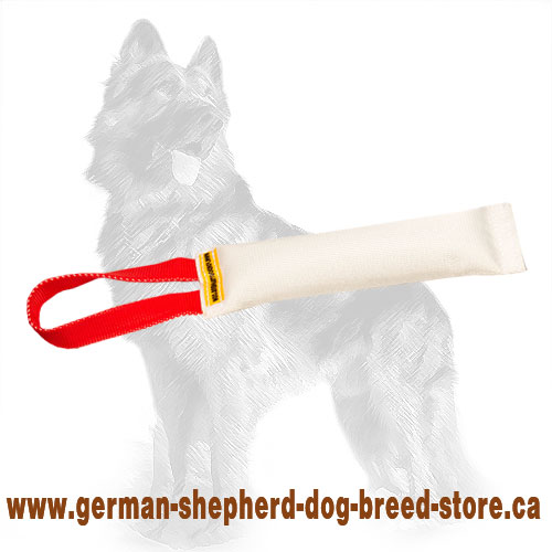 Fire Hose German Shepherd Puppy Bite Tug with Handle