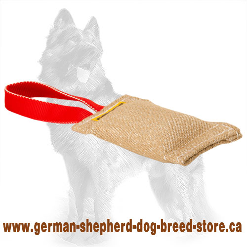 Jute German Shepherd Bite Tug for Puppies