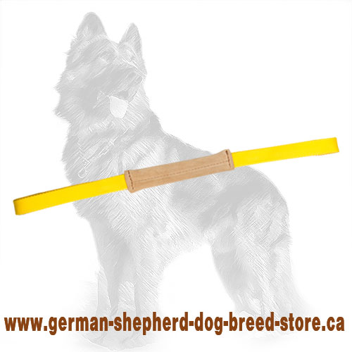 Pocket Leather German Shepherd Bite Tug with 2 Handles