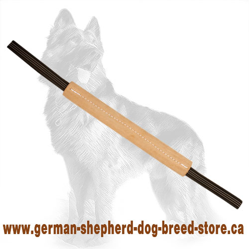 Leather German Shepherd Bite Tug for Puppies