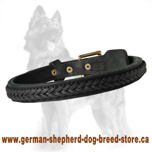 Magnificent Braided Leather Dog Collar for German Shepherds