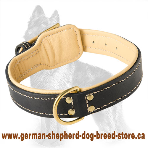 Royal Nappa Padded Hand Made Leather Collar for German Shepherd