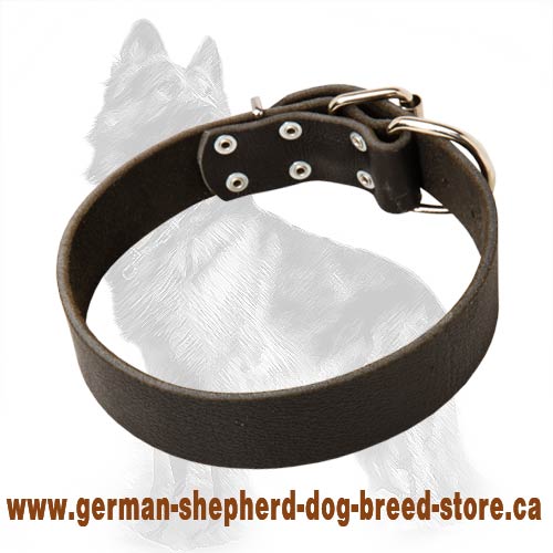 Wide Leather Dog Collar For German Shepherds