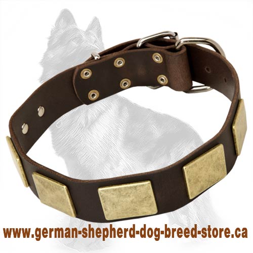 Leather German Shepherd Dog Collar with Brass Massive Plates