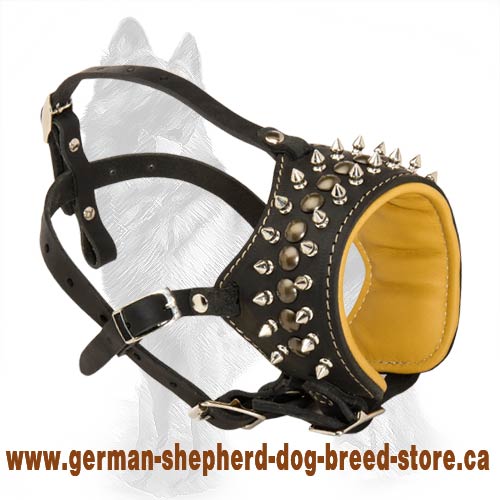 Royal Spiked Leather Dog Muzzle for German Shepherd