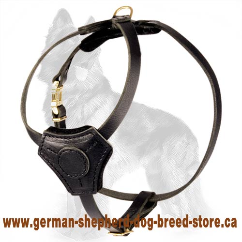 Leather Tracking/Walking Dog Harness For Puppies