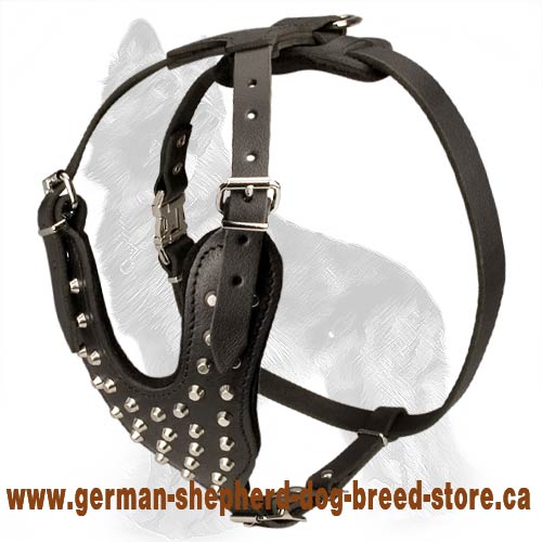 German Shepherd Studded Leather Dog Harness With Pyramids