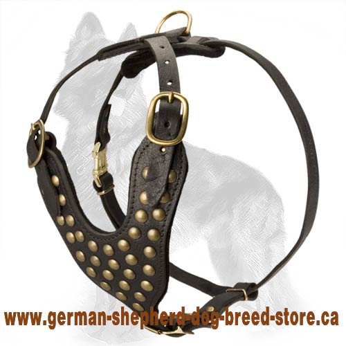 Studded Leather Dog Harness For German Shepherds