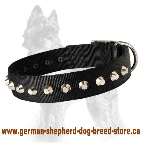 German Shepherd Nylon Dog Collar with Nickle Pyramids