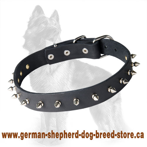German Shepherd Spiked Leather Dog Collar