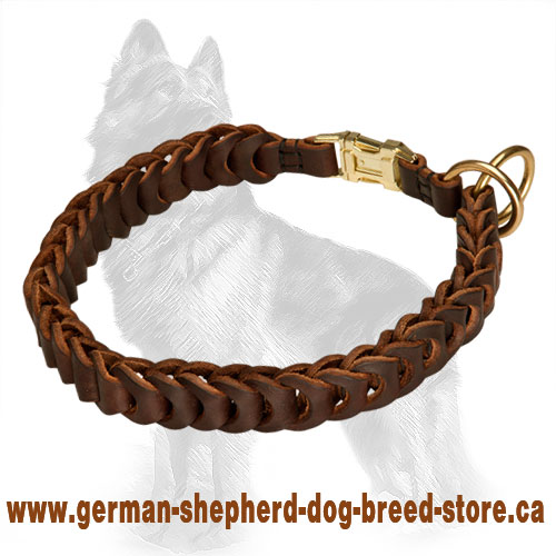 German Shepherd Braided Leather Choke Dog Collar
