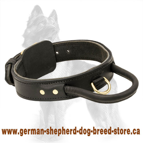 Two ply leather training dog collar with handle